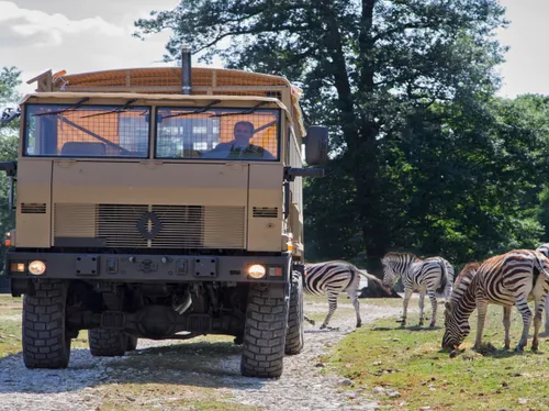 Partez à la découverte du Zoo Safari de Thoiry : camion brousse et...